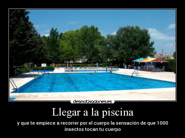 Llegar a la piscina - y que te empiece a recorrer por el cuerpo la sensación de que 1000
insectos tocan tu cuerpo