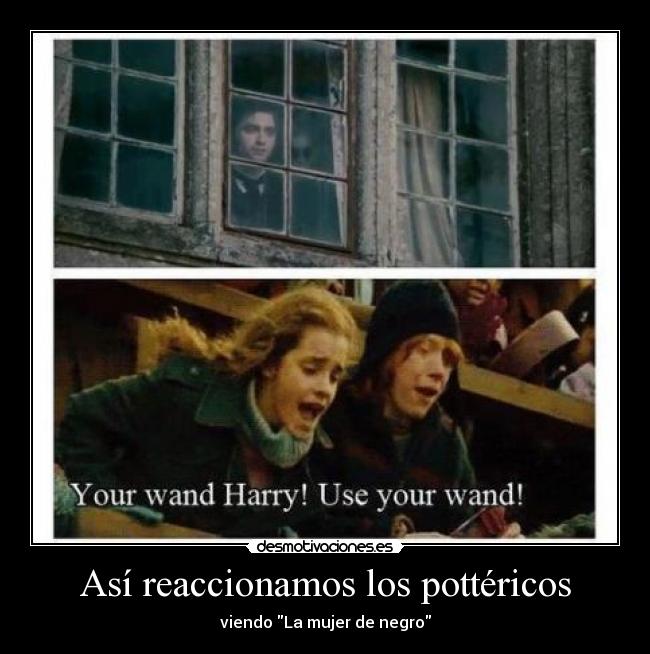 Así reaccionamos los pottéricos -