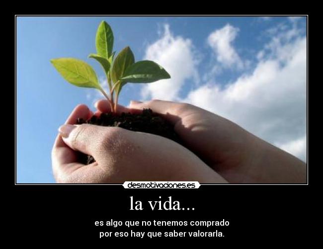 la vida... -