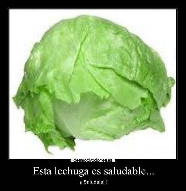 carteles lechuga desmotivaciones