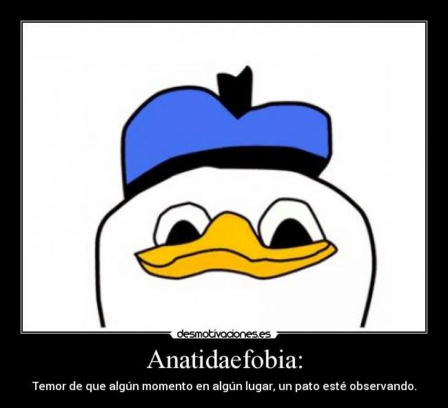 Anatidaefobia: -