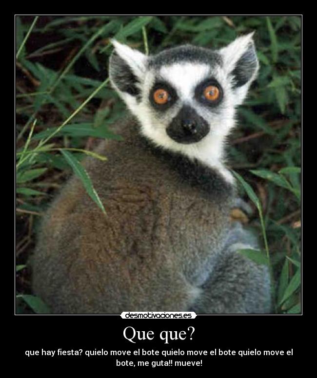 Que que? - que hay fiesta? quielo move el bote quielo move el bote quielo move el
bote, me guta!! mueve!