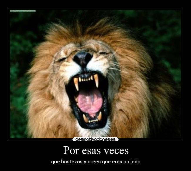 Por esas veces - que bostezas y crees que eres un león