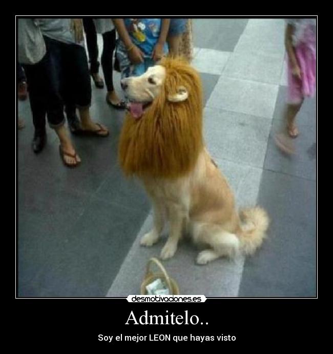 Admitelo.. - Soy el mejor LEON que hayas visto