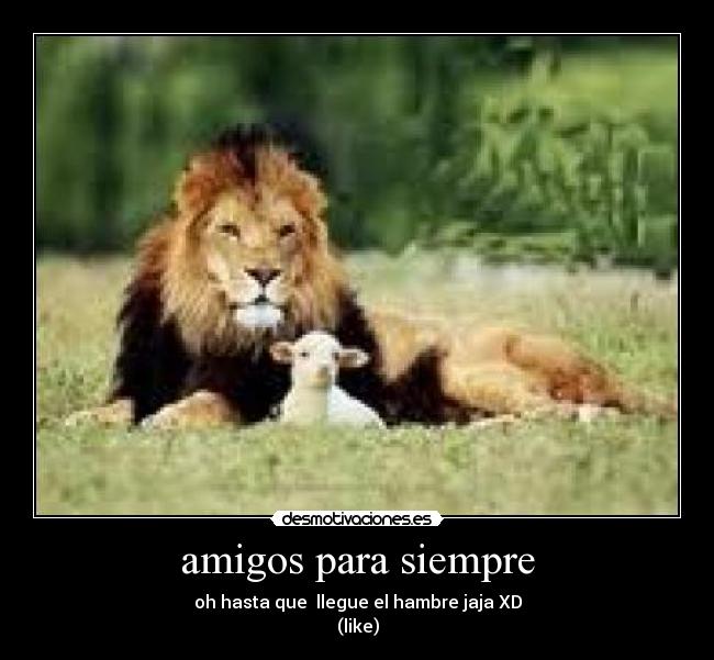 amigos para siempre - 