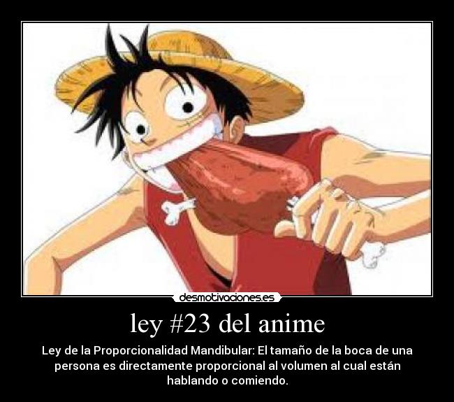 ley #23 del anime -