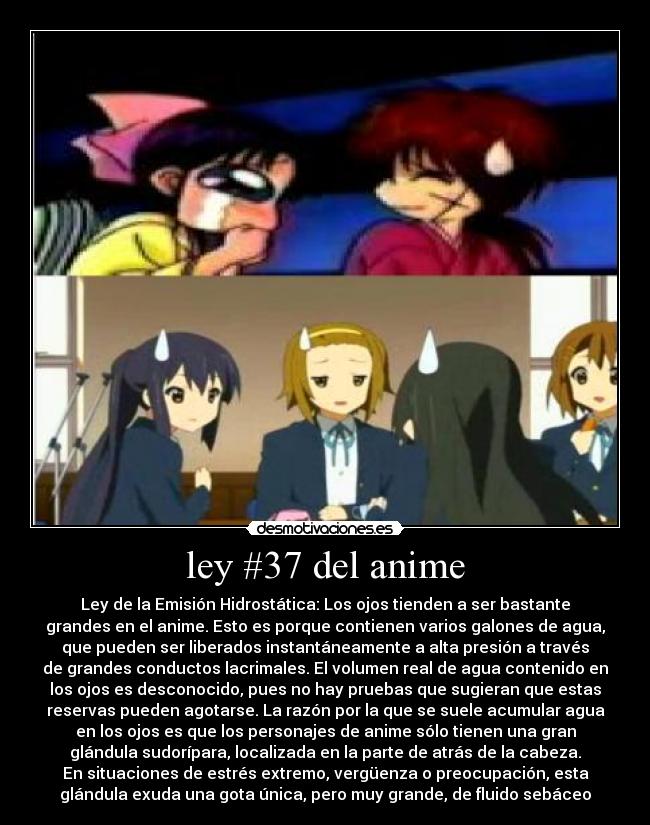 ley #37 del anime - 