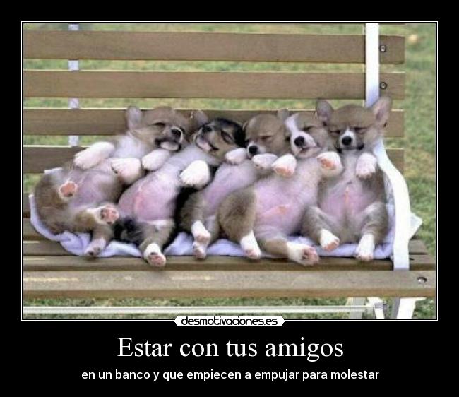 Estar con tus amigos - en un banco y que empiecen a empujar para molestar