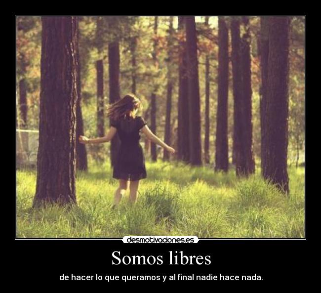 Somos libres - 
