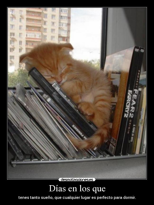 Días en los que - tenes tanto sueño, que cualquier lugar es perfecto para dormir.