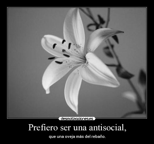 Prefiero ser una antisocial, - que una oveja más del rebaño.