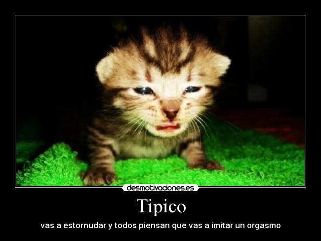 Tipico - vas a estornudar y todos piensan que vas a imitar un orgasmo