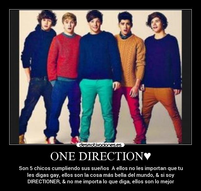 ONE DIRECTION♥ - Son 5 chicos cumpliendo sus sueños♥ A ellos no les importan que tu
les digas gay, ellos son la cosa más bella del mundo, & si soy
DIRECTIONER, & no me importa lo que diga, ellos son lo mejor♥