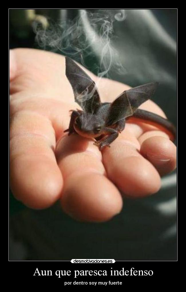Aun que paresca indefenso - por dentro soy muy fuerte