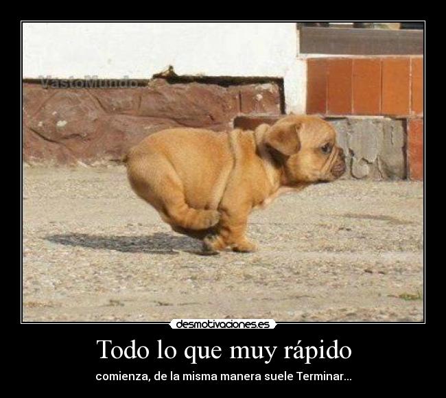 Todo lo que muy rápido -