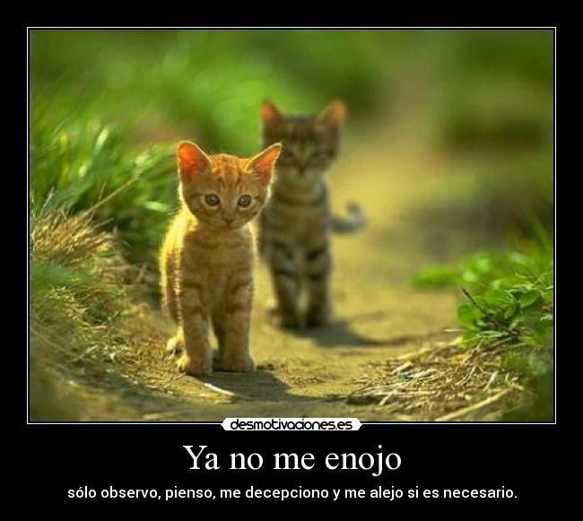 Ya no me enojo - sólo observo, pienso, me decepciono y me alejo si es necesario.