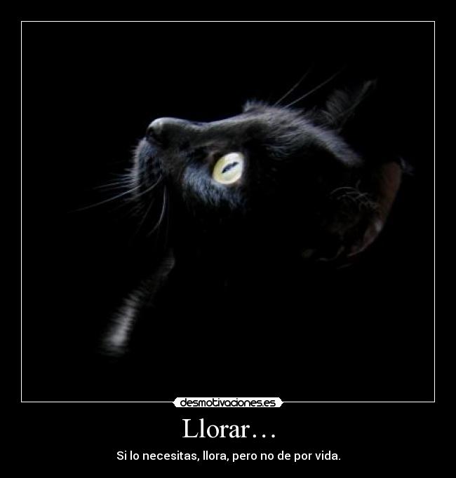 carteles llorar gato intruders crazyclub clanreyleon llorar bueno hasta punto desmotivaciones