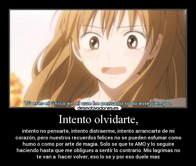 Intento olvidarte, - intento no pensarte, intento distraerme, intento arrancarte de mi
corazón, pero nuestros recuerdos felices no se pueden esfumar como
humo o como por arte de magia. Solo se que te AMO y lo seguire
haciendo hasta que me obligues a sentir lo contrario. Mis lagrimas no
te van a hacer volver, eso lo se y por eso duele mas