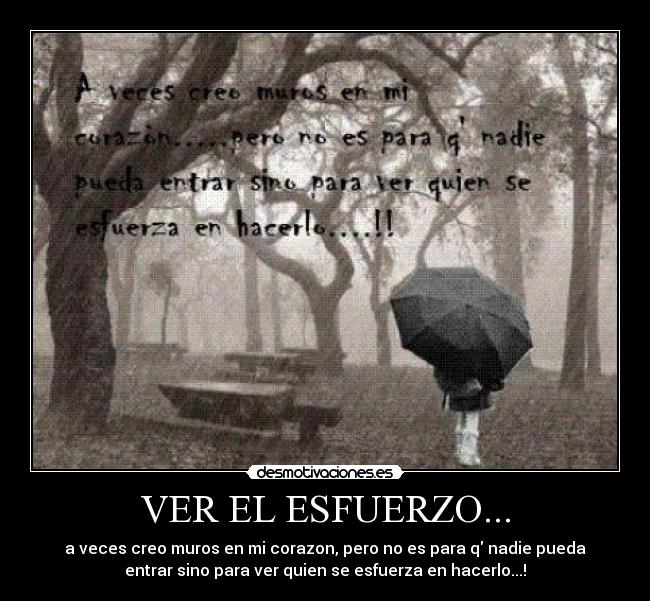 VER EL ESFUERZO... - 