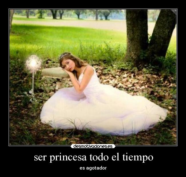 carteles princesa desmotivaciones