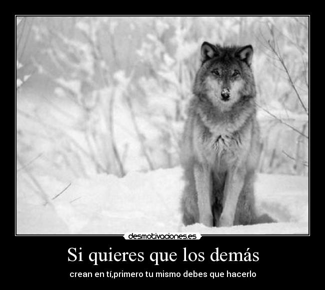 Si quieres que los demás - crean en tí,primero tu mismo debes que hacerlo