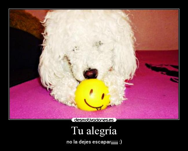 Tu alegría - no la dejes escapar¡¡¡¡¡¡ :)