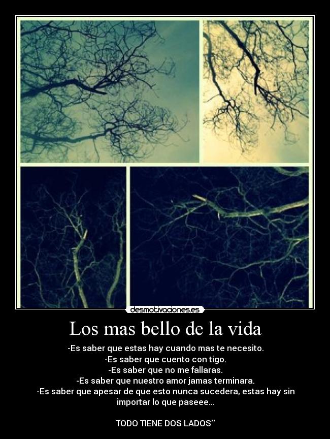 carteles vida giiovamy desmotivaciones