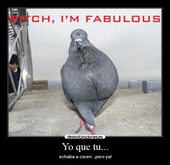 Yo que tu... - echaba a corerr...pero ya!
