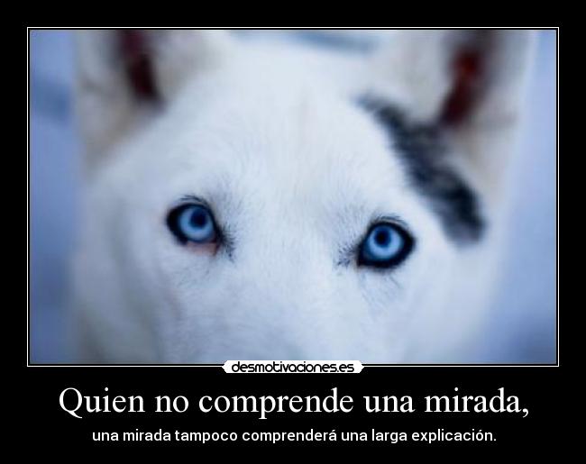Quien no comprende una mirada, - una mirada tampoco comprenderá una larga explicación.