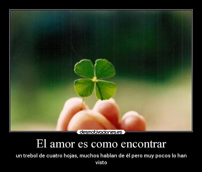 El amor es como encontrar - un trebol de cuatro hojas, muchos hablan de él pero muy pocos lo han visto