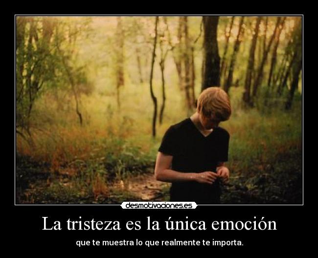 La tristeza es la única emoción - que te muestra lo que realmente te importa.