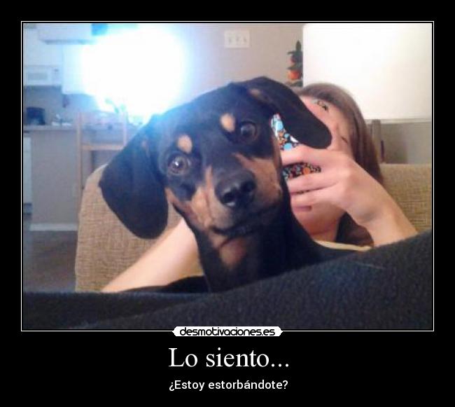 carteles doctor raptorhunters esperan seis anos amargura desmotivaciones