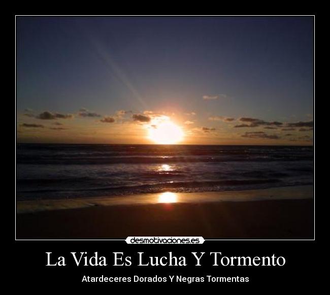 carteles vida concurso1 desmotivaciones