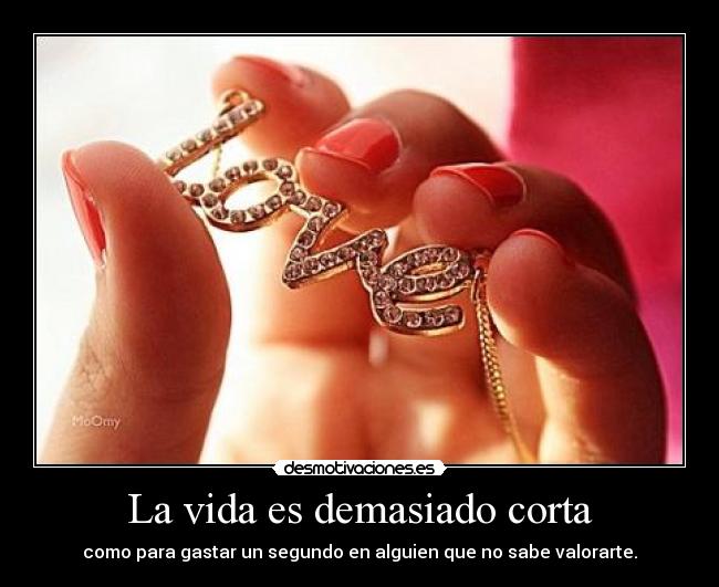 La vida es demasiado corta - como para gastar un segundo en alguien que no sabe valorarte.