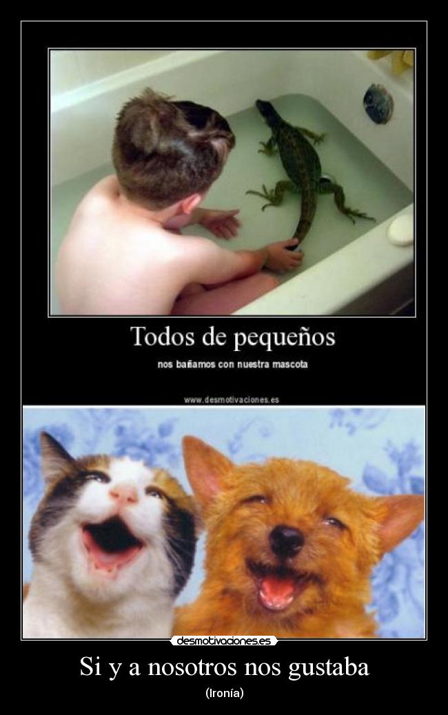 Si y a nosotros nos gustaba - 