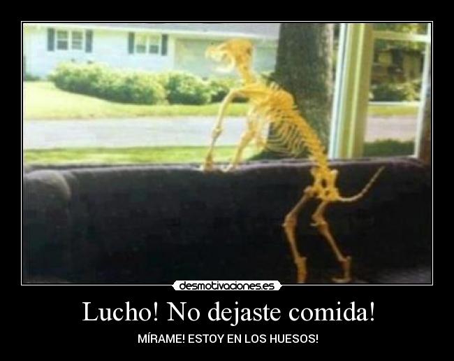 Lucho! No dejaste comida! -