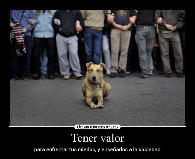 Tener valor - para enfrentar tus miedos, y enseñarlos a la sociedad.