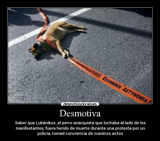 carteles lukanikos desmotivaciones