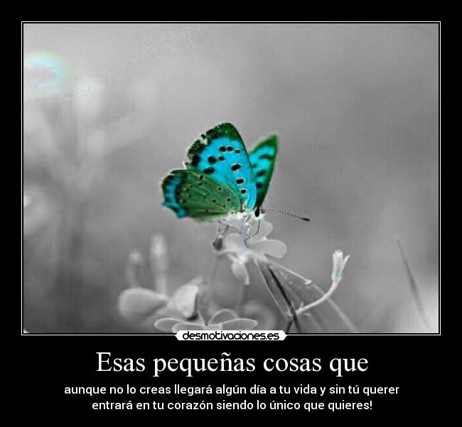 Esas pequeñas cosas que - aunque no lo creas llegará algún día a tu vida y sin tú querer
entrará en tu corazón siendo lo único que quieres!