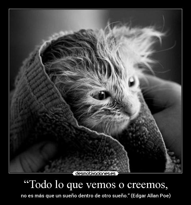 carteles vive como fuera ultimo dia desmotivaciones