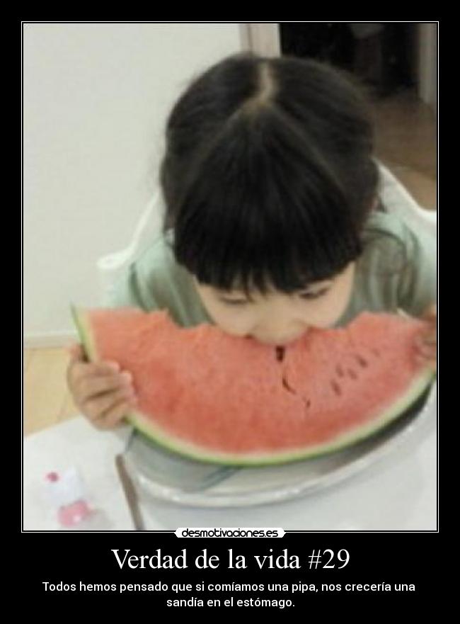 carteles vida makasister bienvenido republica independiente mundo desmotivaciones