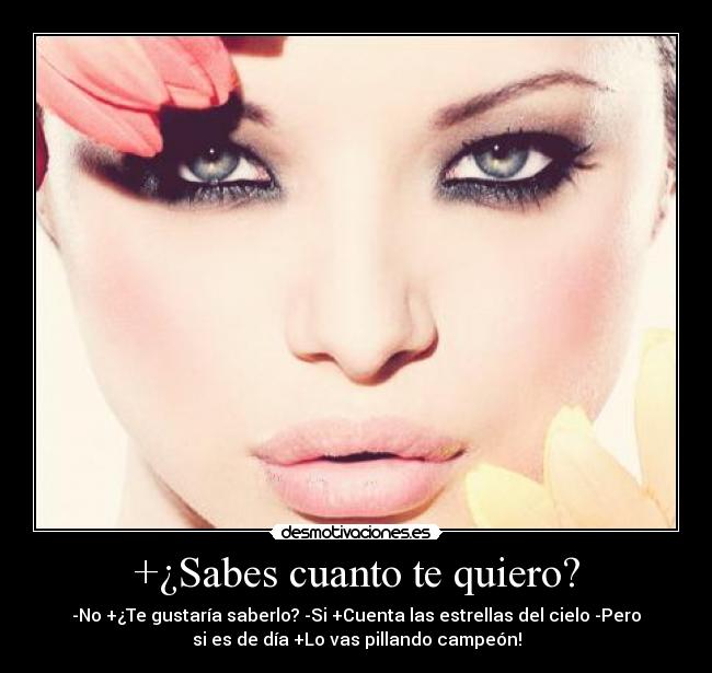 carteles looree tuyaparasiempre desmotivaciones