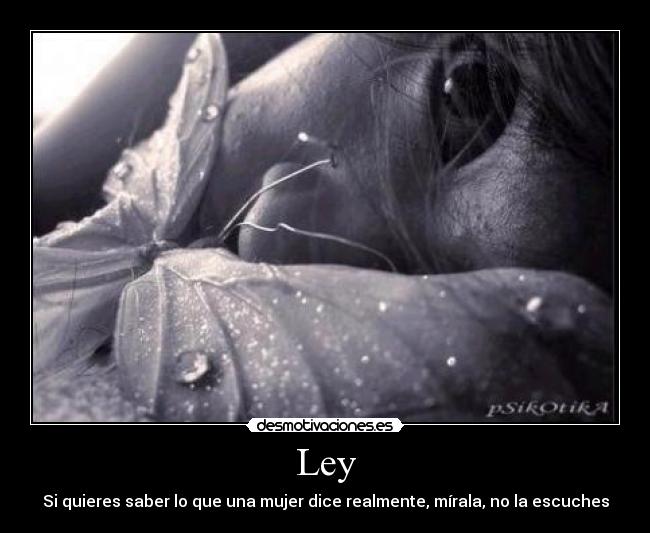 Ley -