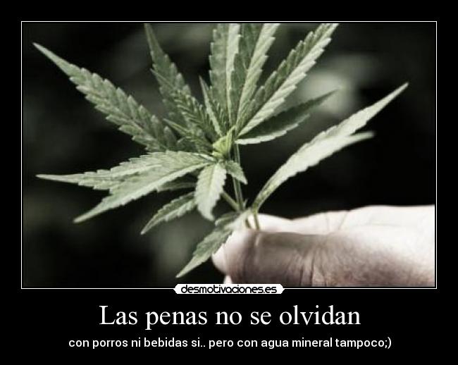 Las penas no se olvidan - con porros ni bebidas si.. pero con agua mineral tampoco;)