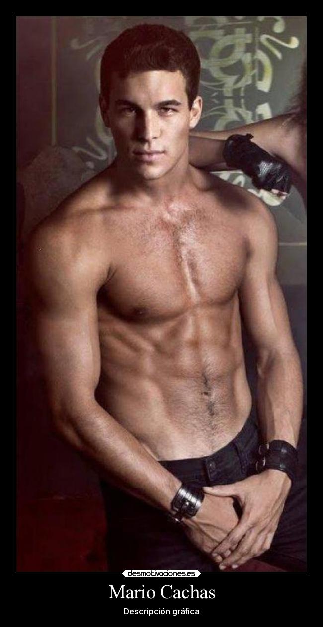 Mario Cachas - Descripción gráfica