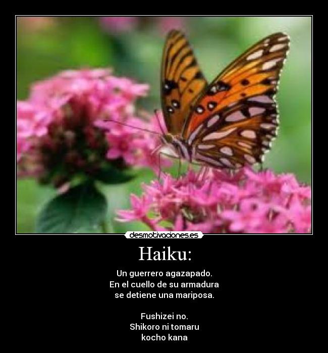 Haiku: - Un guerrero agazapado.
En el cuello de su armadura
se detiene una mariposa.
Fushizei no.
Shikoro ni tomaru
kocho kana