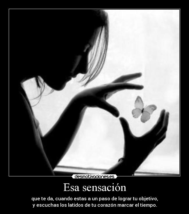 carteles sensacion desmotivaciones