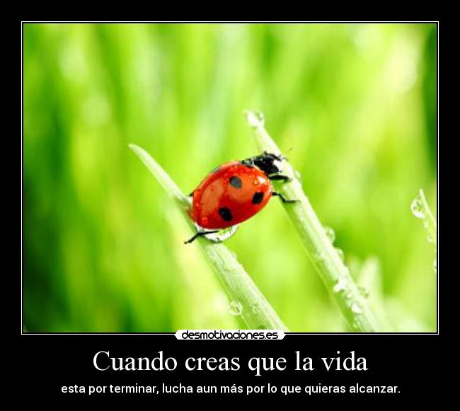 Cuando creas que la vida - esta por terminar, lucha aun más por lo que quieras alcanzar.