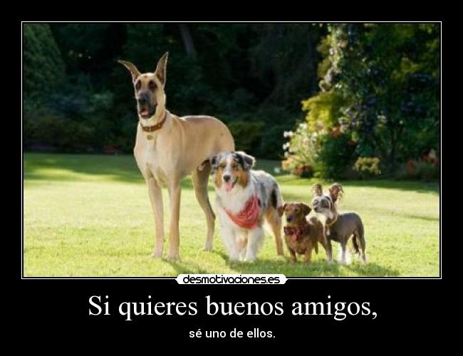 Si quieres buenos amigos, - sé uno de ellos.