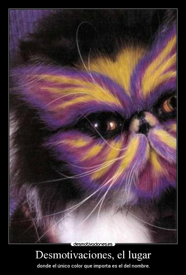 Desmotivaciones, el lugar -